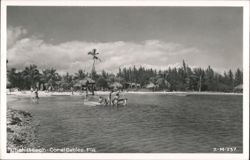 Tahati Beach, Coral Gables, Florida Postcard