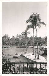Scene At The Venetian Pool Postcard