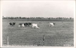 Stock #1060341 Thumbnail