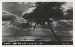 Sunset over the Gulf - Dunedin, Florida Postcard