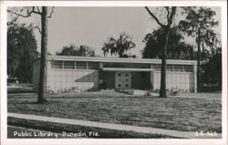 Dunedin Public Library Postcard