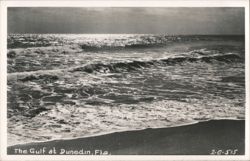 The Gulf at Dunedin, Florida Postcard