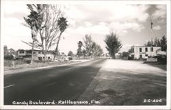 Gandy Boulevard, Rattlesnake, Florida Postcard