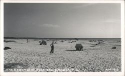 The Beach At St. Petersburg Beach Postcard
