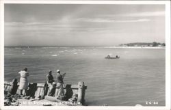 Fishing At St. Petersburg Beach Postcard