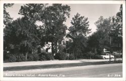 Moore Haven Hotel Postcard