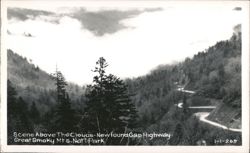 Newfound Gap Highway, Great Smoky Mountains National Park Postcard