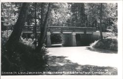 Scene In Levi Jackson Wilderness Road State Park Bridge Postcard