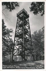 Observation Tower at Levi Jackson Wilderness Road State Park Postcard