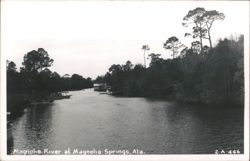 Magnolia River at Magnolia Springs Postcard