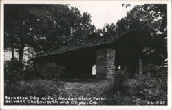 Barbecue Pits at Fort Mountain State Park Postcard