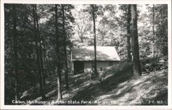 Cabin 14 at Hungry Mother State Park Postcard