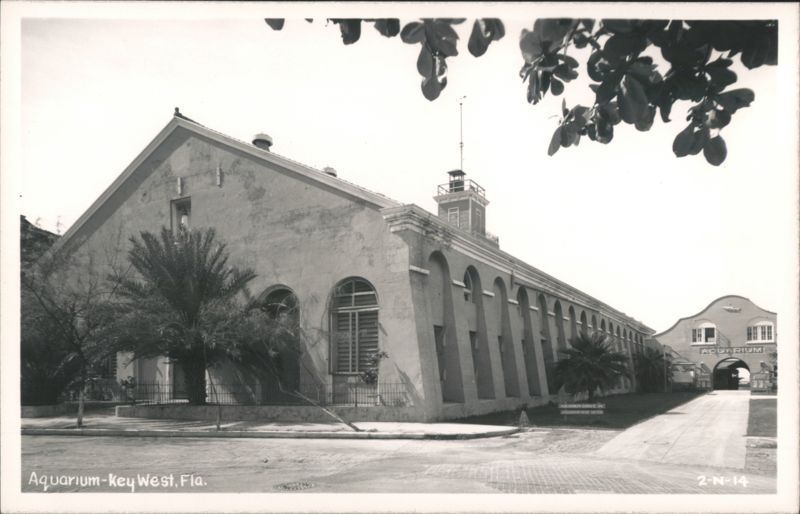 Key West Aquarium Florida