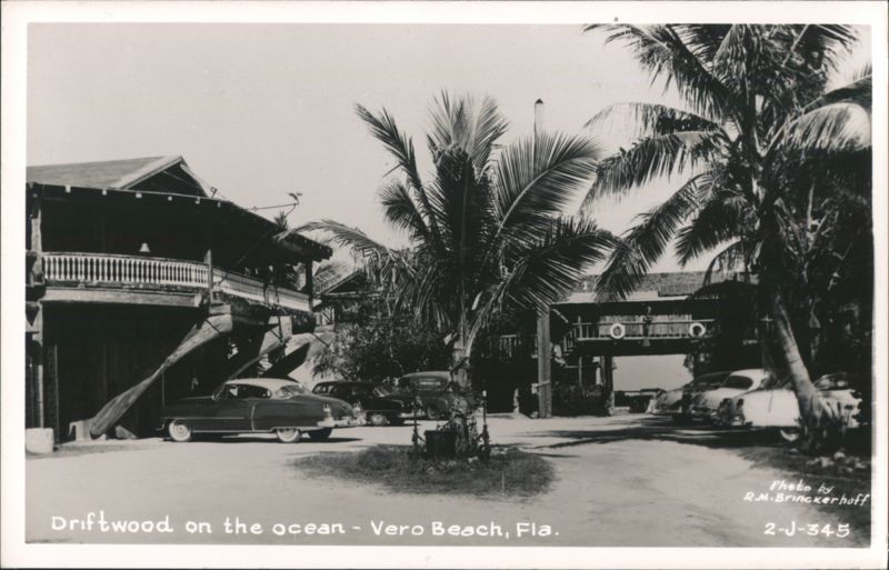 Driftwood on the Ocean, Vero Beach, FL Florida