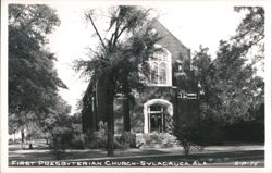 First Presbyterian Church, Sylacauga, Alabama Postcard