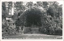 Ave Maria Grotto at St. Bernard College, Cullman, AL Postcard