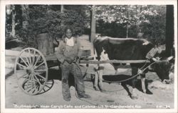 Bullmobile near Cary's Cafe and Cabins, Gardendale, Alabama Postcard
