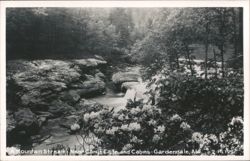 Mountain Stream Near Cary's Cafe and Cabins Postcard