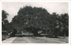 Lovers' Oak, Brunswick, GA Postcard