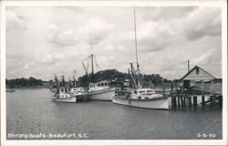 Shrimp Boats at Beaufort, South Carolina Postcard
