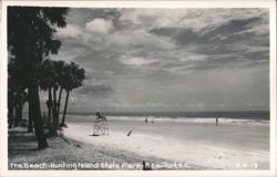 The Beach, Hunting Island State Park Postcard