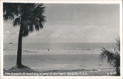 The Beach at Hunting Island State Park Postcard