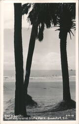 The Beach - Hunting Island State Park Postcard
