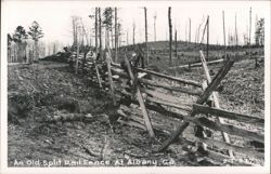 Old Split Rail Fence Postcard