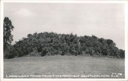 Large Indian Mound-Mound State Monument Postcard