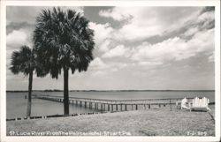 St. Lucie River From The Pelican Hotel Postcard