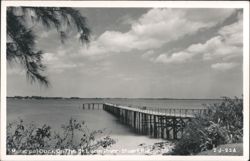 Municipal Dock on the St. Lucie River Postcard