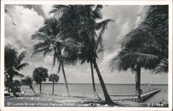 St. Lucie River from Pelican Hotel Postcard