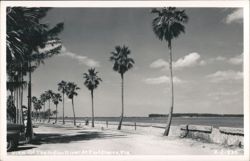 View of the Indian River at Fort Pierce Postcard