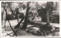 McKee Jungle Gardens - Vero Beach, FL Postcard