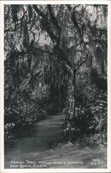 Azalea Trail, McKee Jungle Gardens Postcard