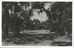 Hibiscus Garden - McKee Jungle Gardens Postcard