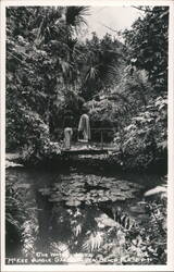 The Water Maze at McKee Jungle Gardens Postcard
