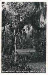 McKee Jungle Gardens, Vero Beach, FL Postcard