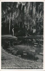 McKee Jungle Gardens, Vero Beach, Florida Postcard