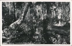 McKee Jungle Gardens, Vero Beach, Florida Postcard