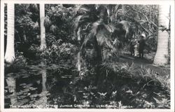 The Watery Maze, McKee Jungle Gardens Postcard