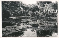 McKee Jungle Gardens, Vero Beach, Florida Postcard