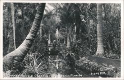 McKee Jungle Gardens, Vero Beach, Florida Postcard