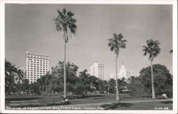 Skyline of Miami From Bay Front Park Postcard