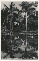 McKee Jungle Gardens, Vero Beach, Florida Postcard
