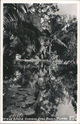 McKee Jungle Gardens, Vero Beach, Florida Postcard