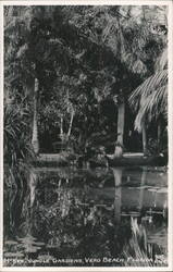 McKee Jungle Gardens, Vero Beach, Florida Postcard