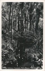 McKee Jungle Gardens, Cathedral Postcard
