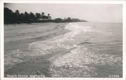 Beach Scene - Naples, Florida Postcard