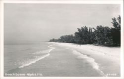 Beach Scene - Naples, Florida Postcard